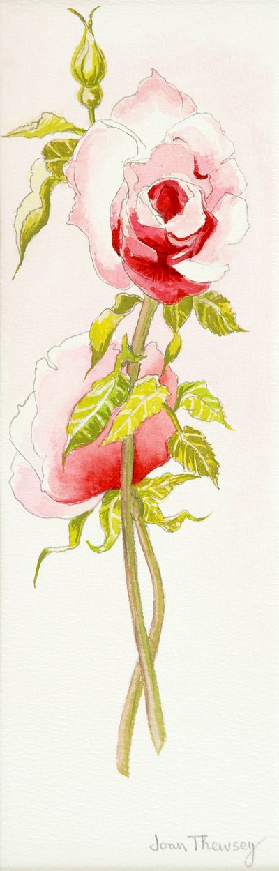 Image inconnue - Unbekannt Unbekannt
